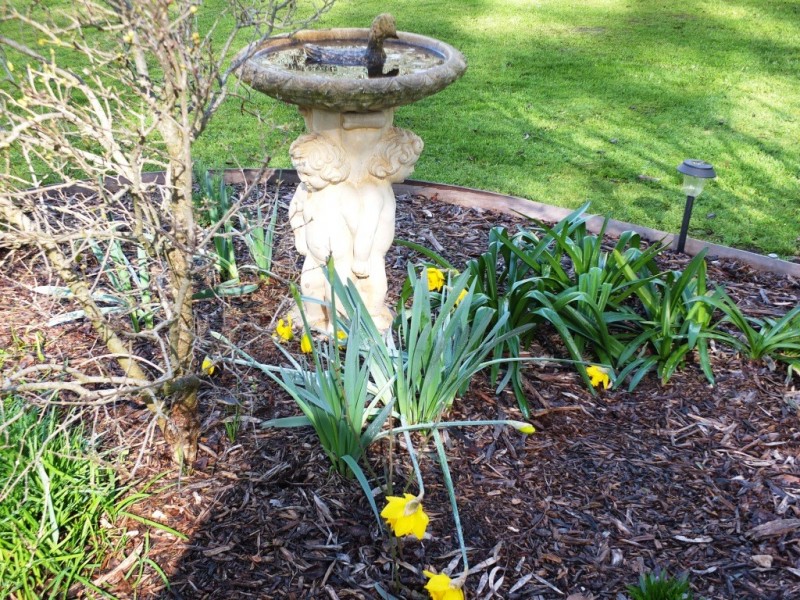 21 Green Street, Elmhurst VIC 3469