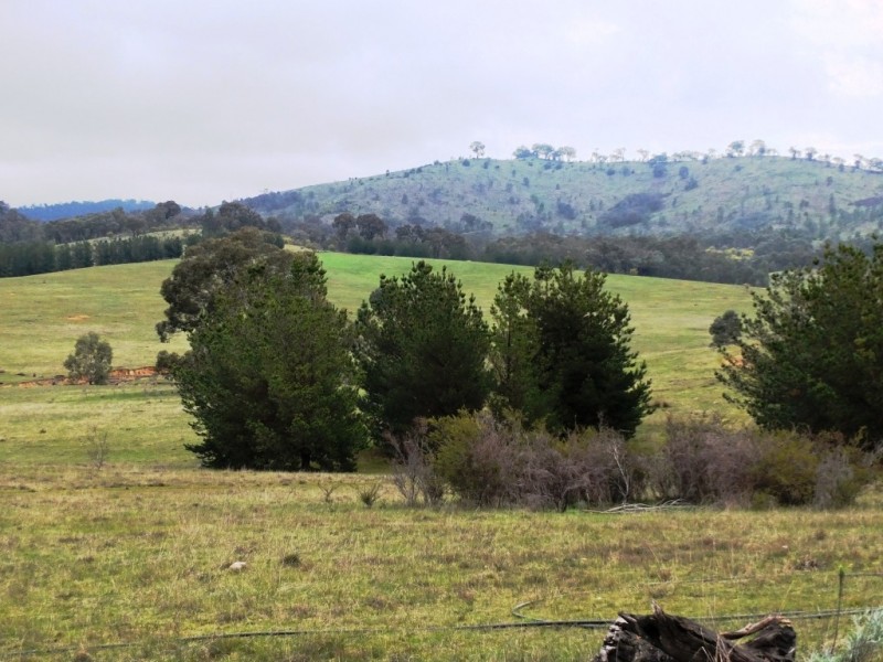 223 Morris Lane, Moonambel VIC 3478