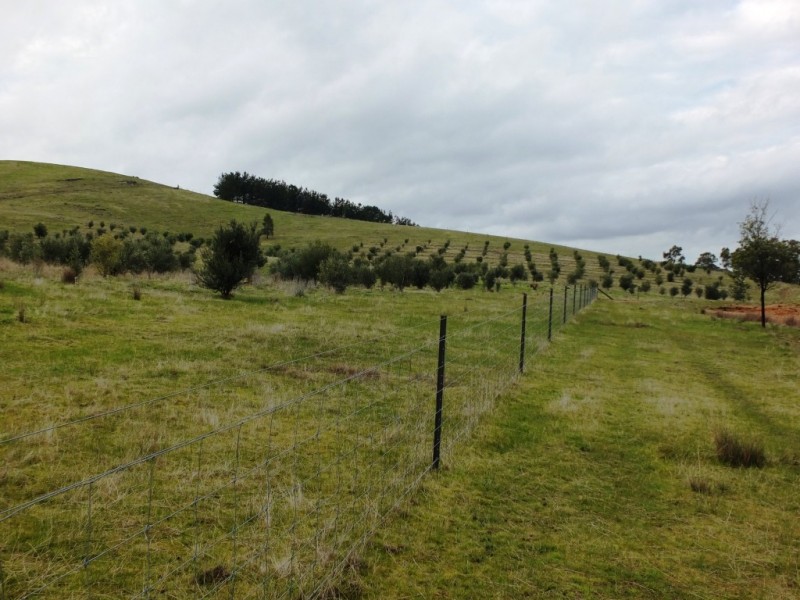 223 Morris Lane, Moonambel VIC 3478