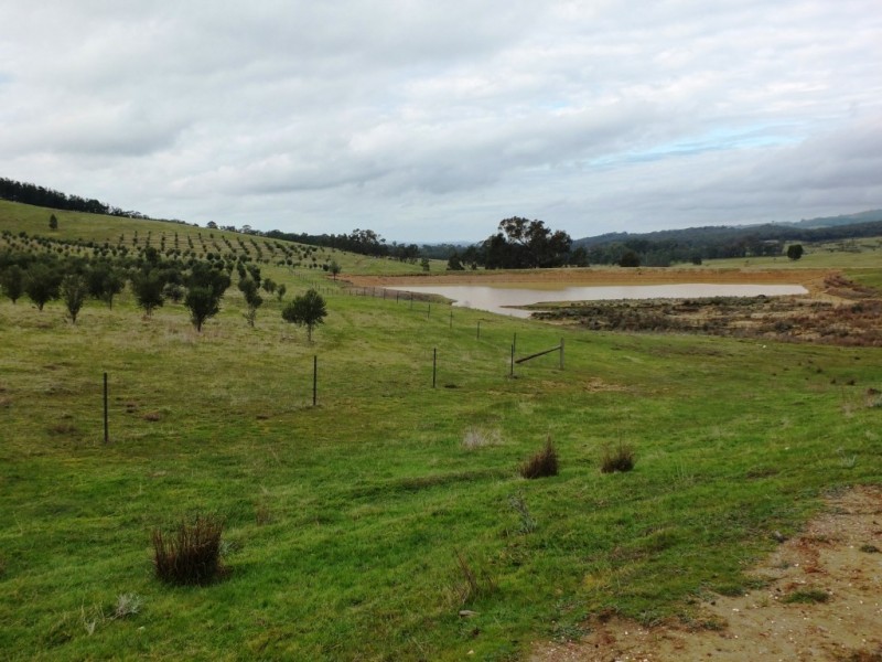 223 Morris Lane, Moonambel VIC 3478