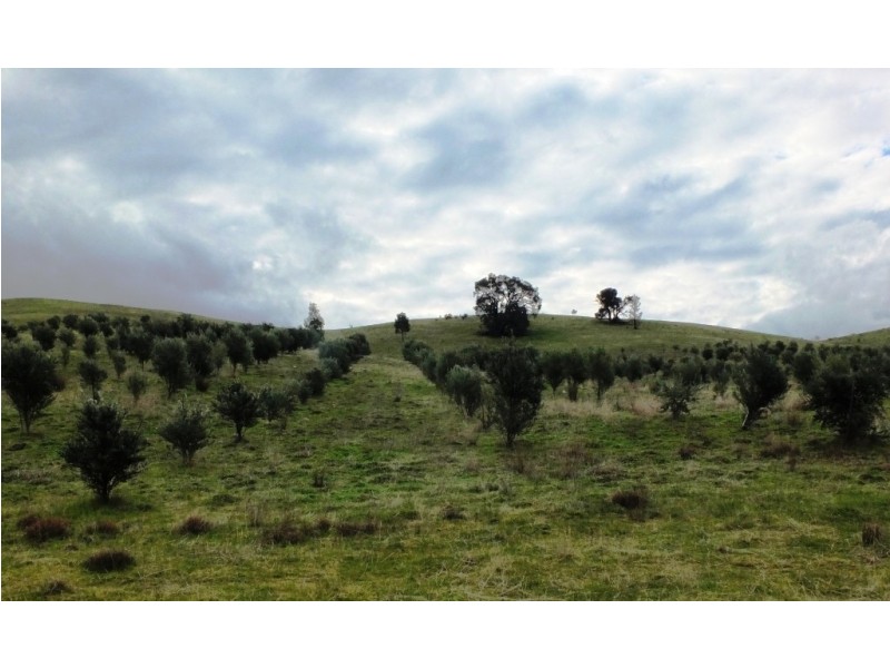 223 Morris Lane, Moonambel VIC 3478