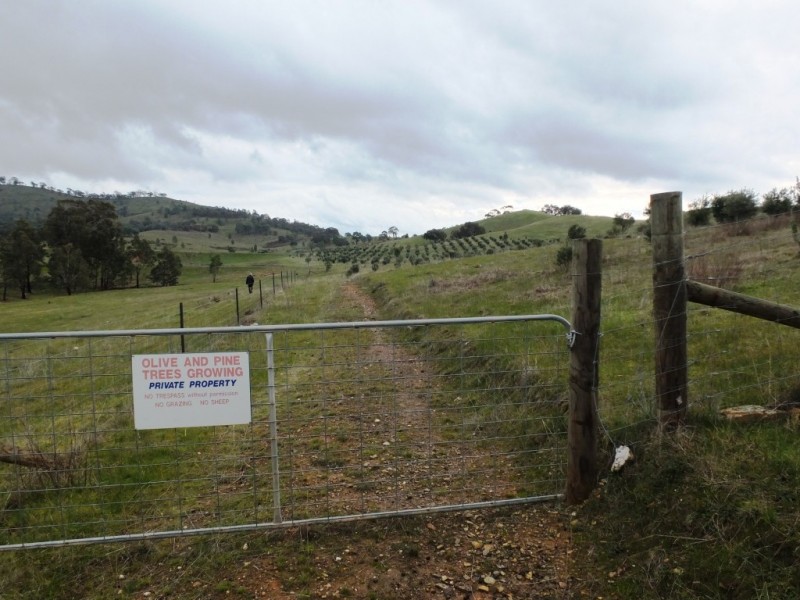 223 Morris Lane, Moonambel VIC 3478