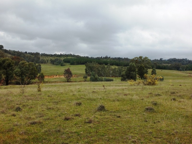 223 Morris Lane, Moonambel VIC 3478