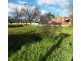 94 Rutherford Street, Avoca VIC 3467