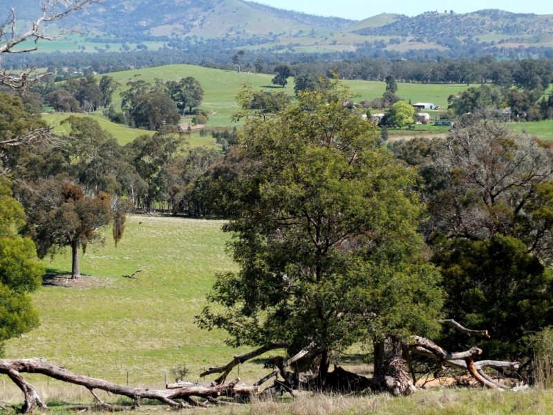 248 Nowhere Creek Road, Elmhurst VIC 3469