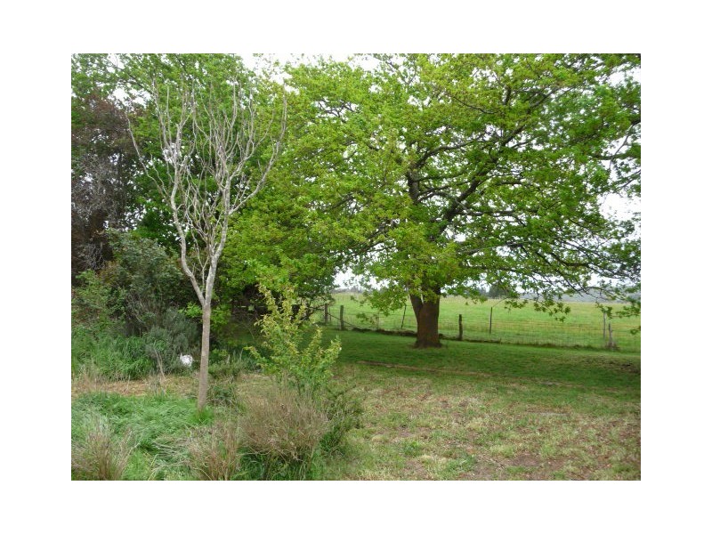 1034 Scarsdale/Pitfield Road, Springdallah VIC 3351
