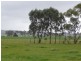 1034 Scarsdale/Pitfield Road, Springdallah VIC 3351