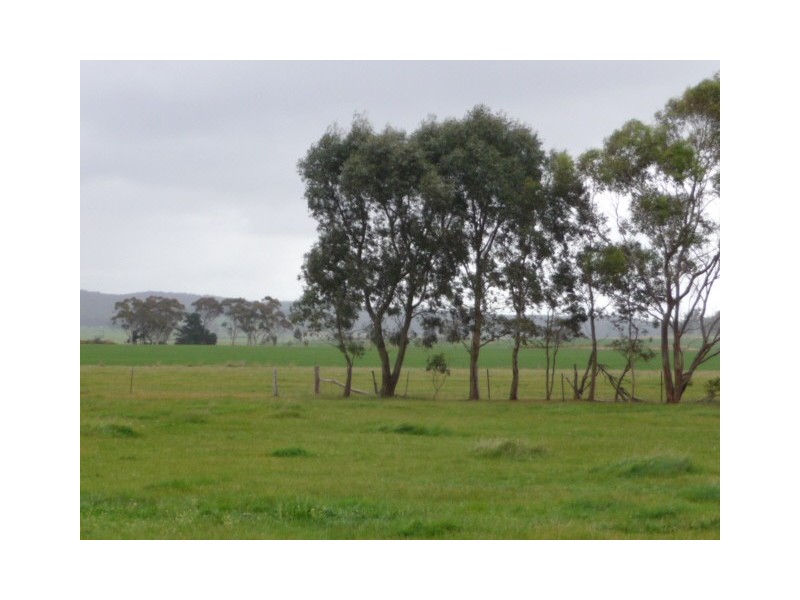 1034 Scarsdale/Pitfield Road, Springdallah VIC 3351