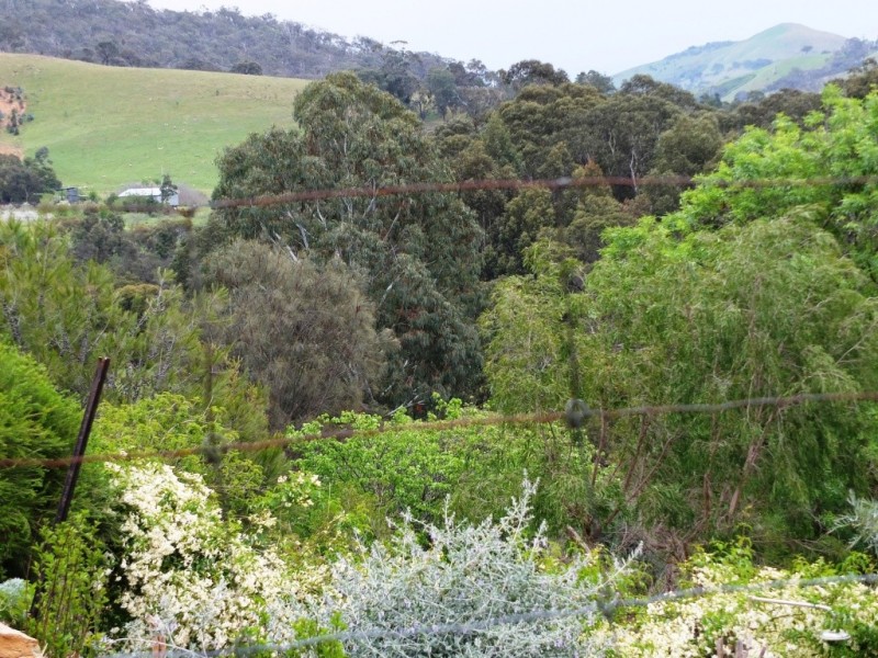 1046 Glenpatrick-Elmhurst Road, Glenpatrick VIC 3469