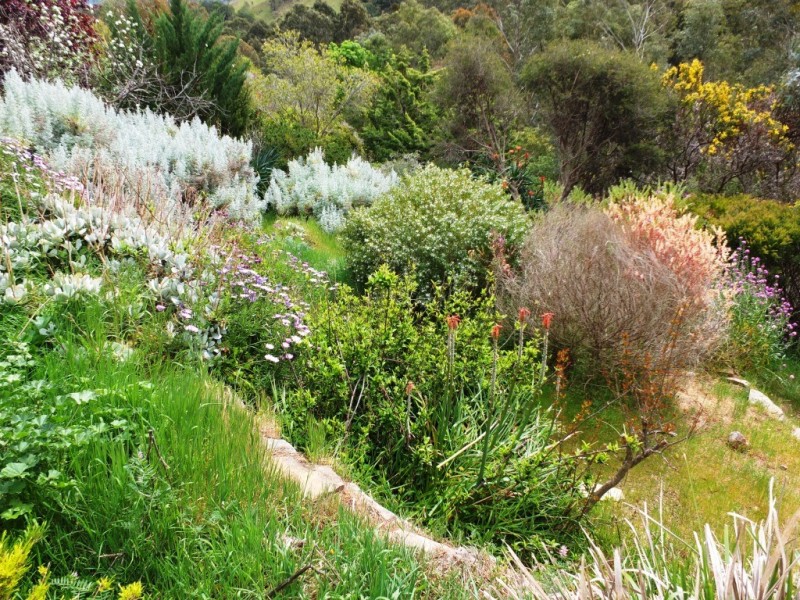 1046 Glenpatrick-Elmhurst Road, Glenpatrick VIC 3469