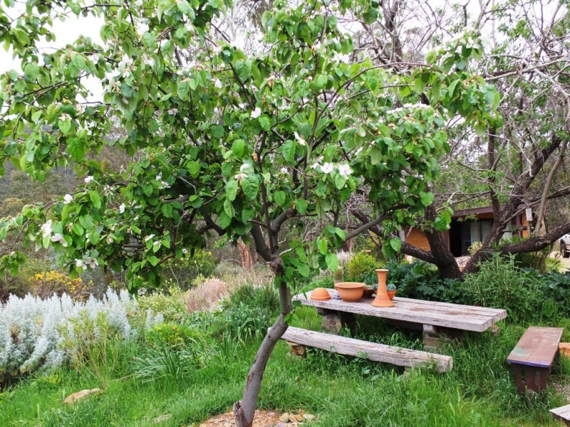 1046 Glenpatrick-Elmhurst Road, Glenpatrick VIC 3469