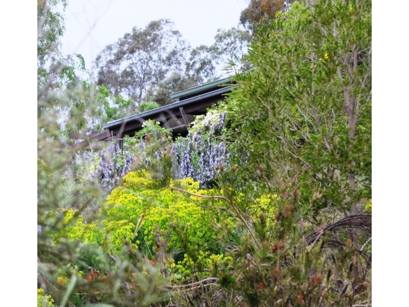 1046 Glenpatrick-Elmhurst Road, Glenpatrick VIC 3469