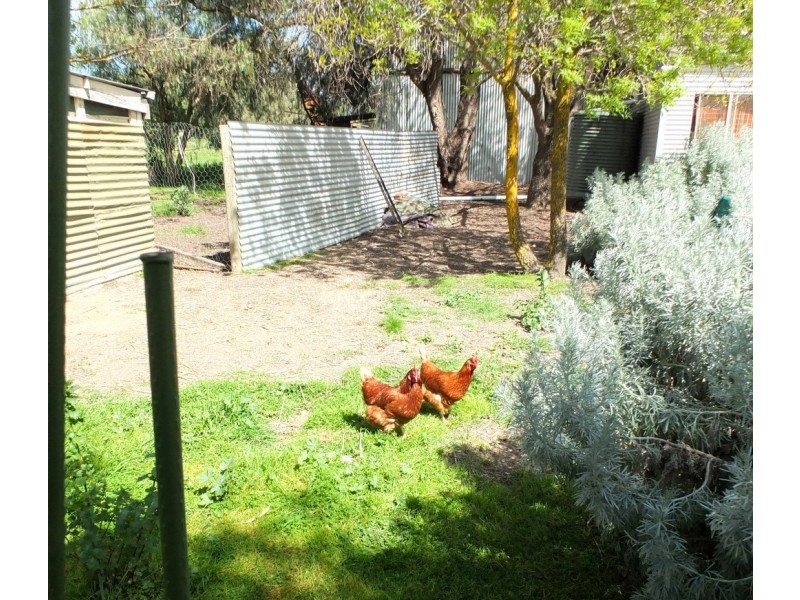 20 Astbury Street, Avoca VIC 3467