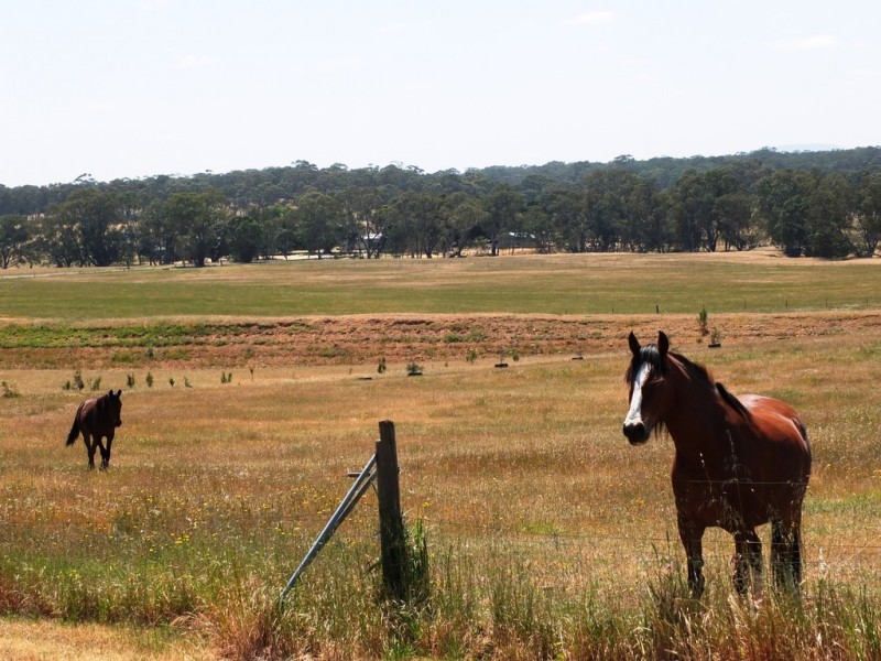 55 Gibbs Road, Majorca VIC 3465