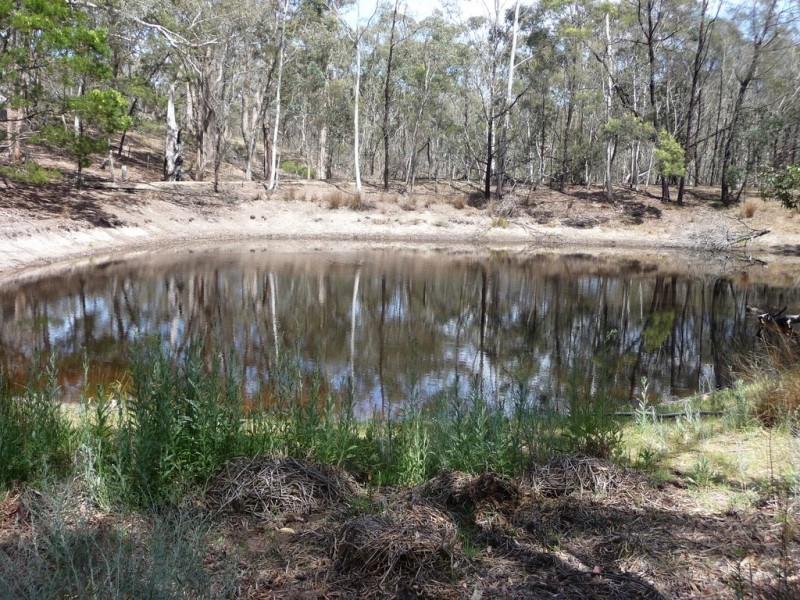 80 Beggs Lane, Raglan VIC 3373