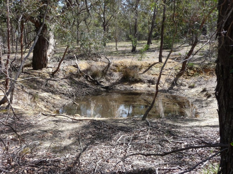 80 Beggs Lane, Raglan VIC 3373