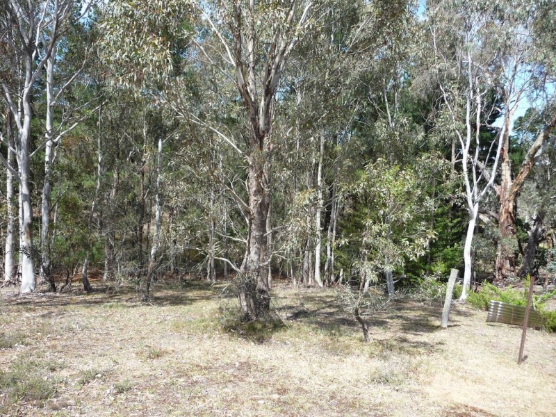 80 Beggs Lane, Raglan VIC 3373