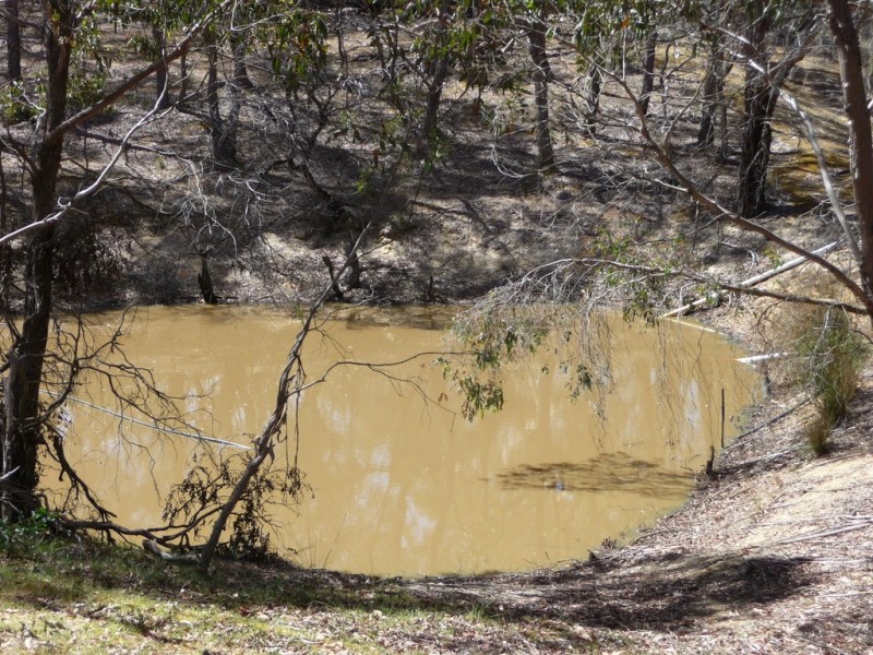 80 Beggs Lane, Raglan VIC 3373