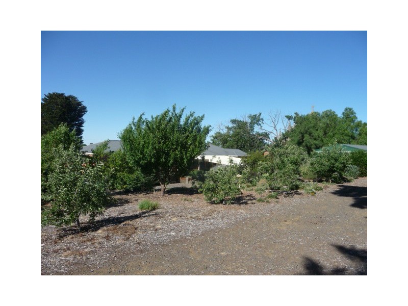 82 Bailey Street, Clunes VIC 3370