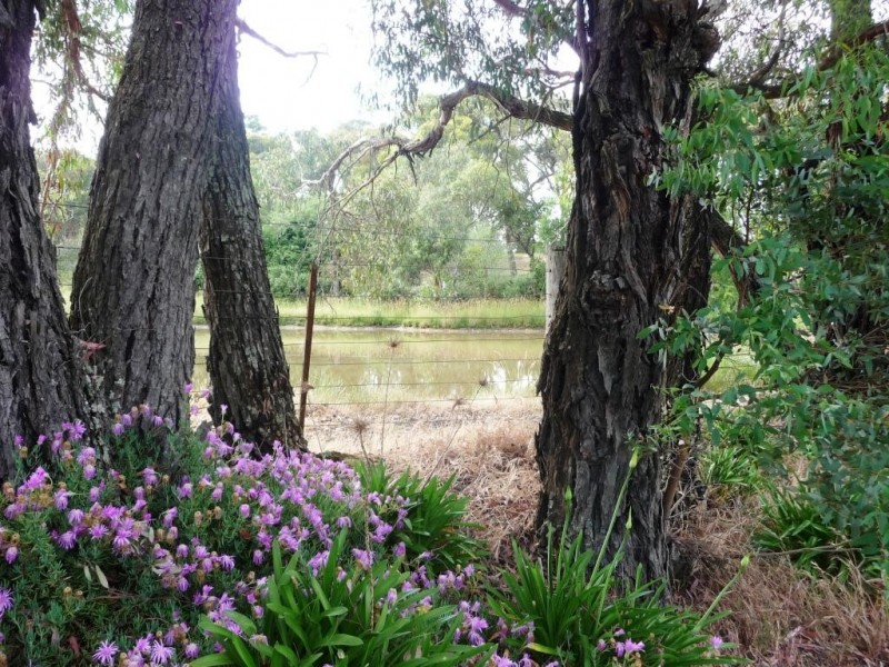 81 Pistol Club Road, Invermay VIC 3352
