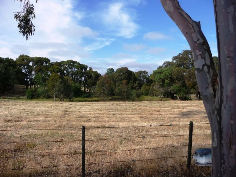 81 Pistol Club Road, Invermay VIC 3352