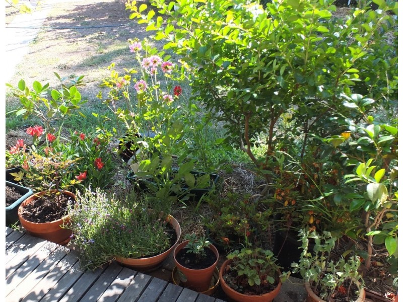 90 Dawsons Road, Avoca VIC 3467