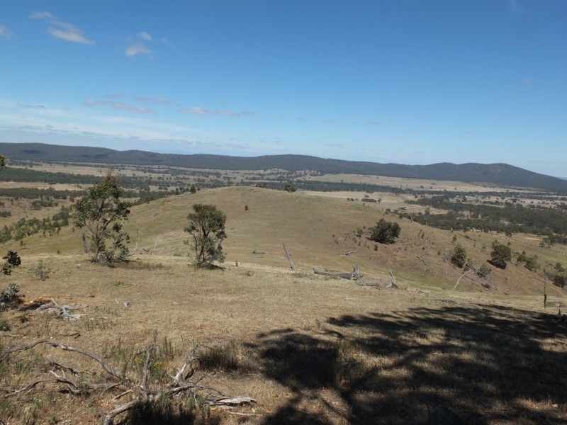 CA17 Johnsons Gully Road, Barkly VIC 3384
