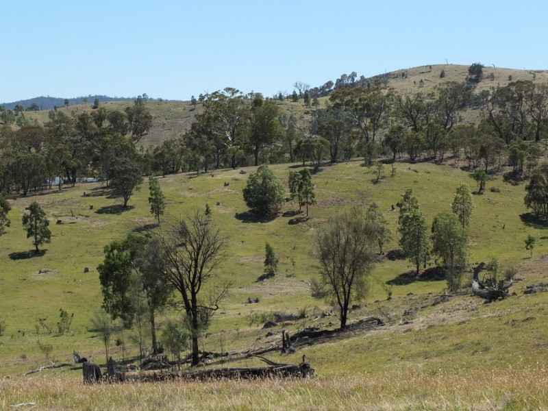 CA17 Johnsons Gully Road, Barkly VIC 3384