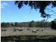 - Grants Lane, Raglan VIC 3373