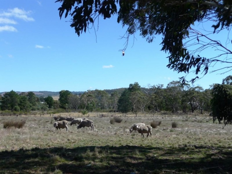 - Grants Lane, Raglan VIC 3373