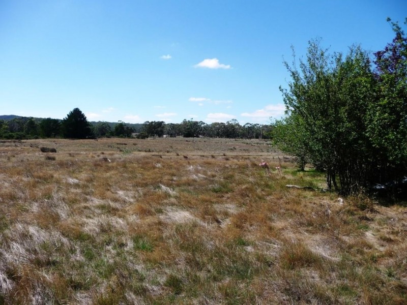 - Grants Lane, Raglan VIC 3373
