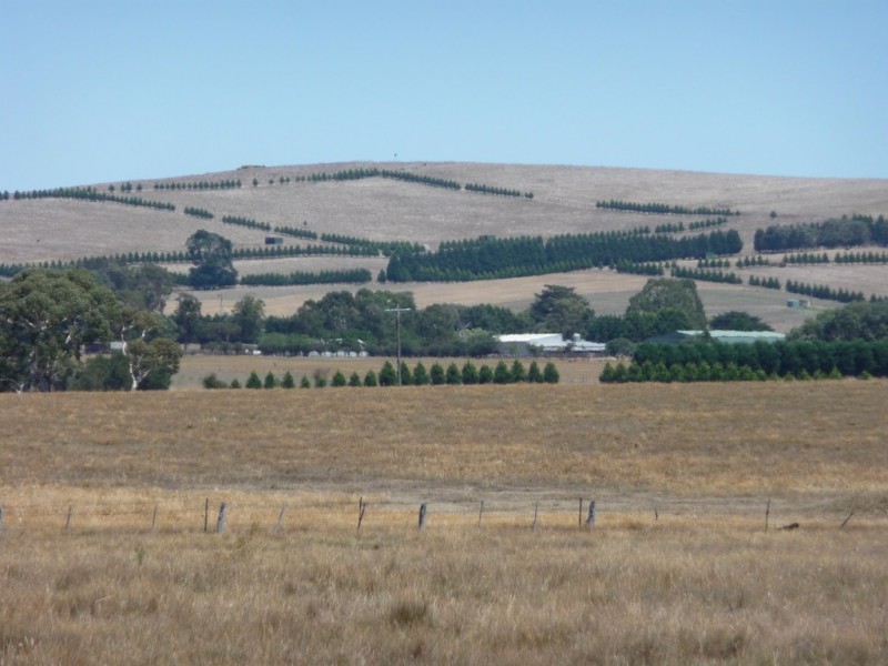 3 Schwarz Road, Bald Hills VIC 3364