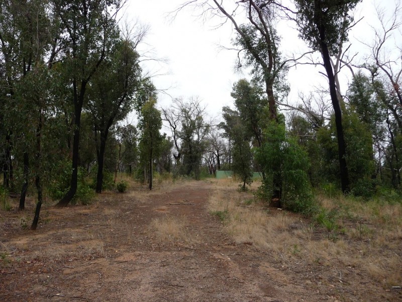 699 Paynes Bridge Road, Dereel VIC 3352