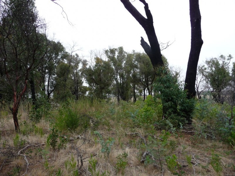 699 Paynes Bridge Road, Dereel VIC 3352