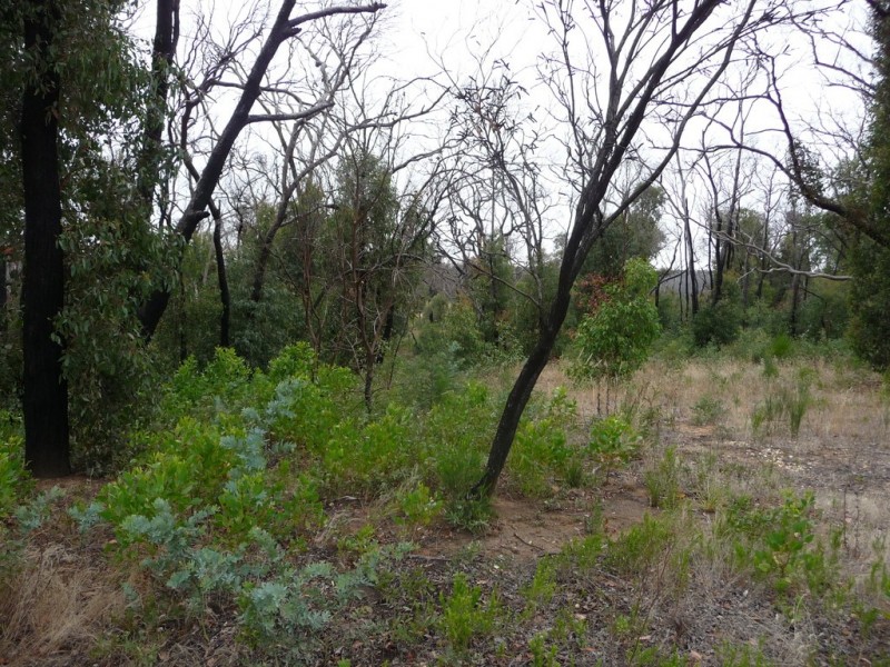 699 Paynes Bridge Road, Dereel VIC 3352