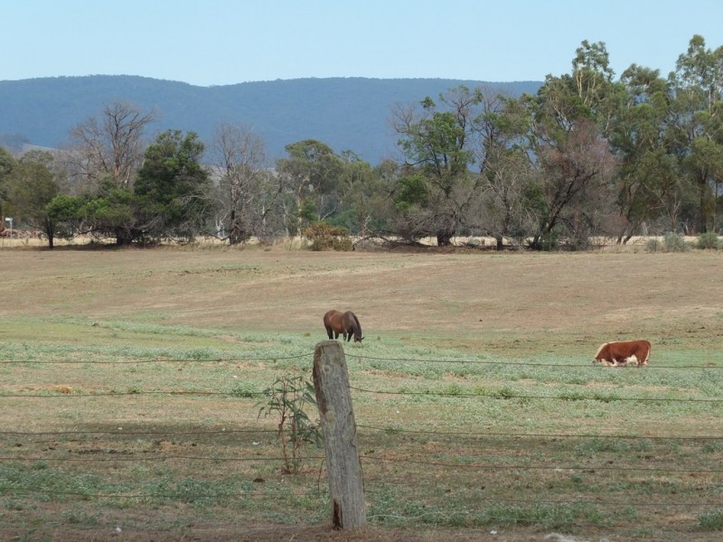 41-43 Templeton Street, Avoca VIC 3467