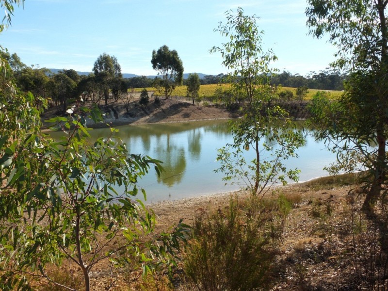 129 Robinsons-Percydale Road, Percydale VIC 3478