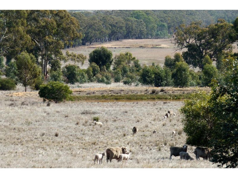 Lot 2 Stawell-Avoca Road, Navarre VIC 3384