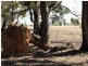 Lot 2 Stawell-Avoca Road, Navarre VIC 3384