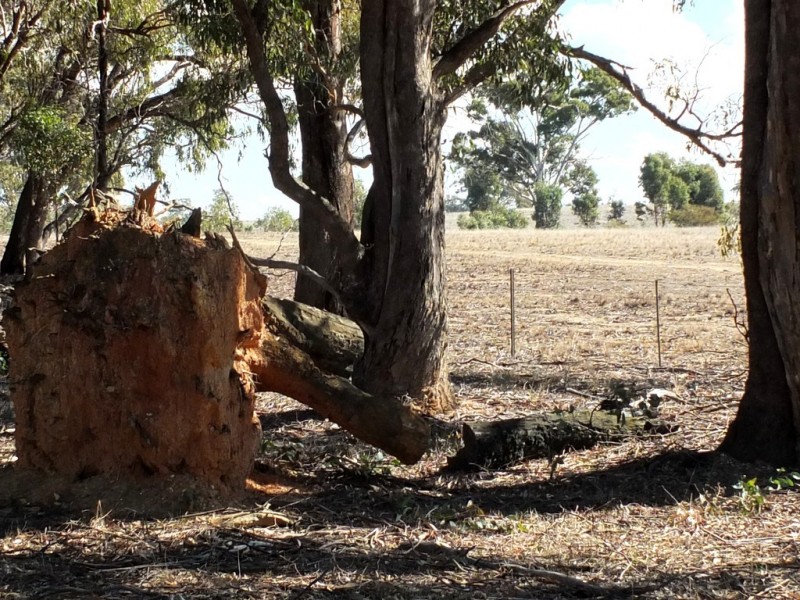 Lot 2 Stawell-Avoca Road, Navarre VIC 3384