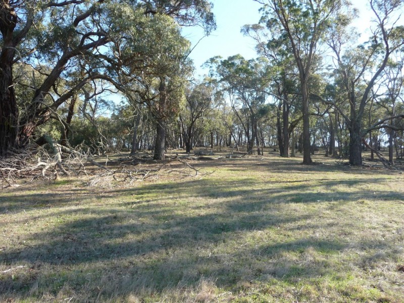 Lot 1/213 Beaufort-Lexton Road, Beaufort VIC 3373