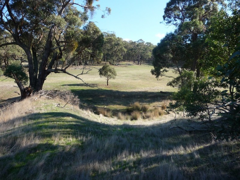 Lot 1/213 Beaufort-Lexton Road, Beaufort VIC 3373