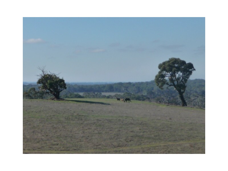 Lot 1/213 Beaufort-Lexton Road, Beaufort VIC 3373