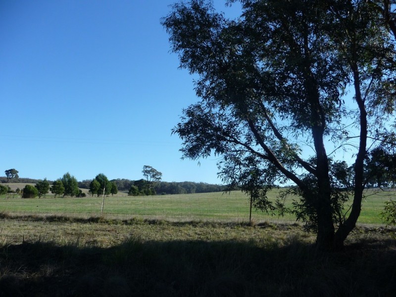 Lot 1/213 Beaufort-Lexton Road, Beaufort VIC 3373