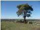 Lot 1/213 Beaufort-Lexton Road, Beaufort VIC 3373