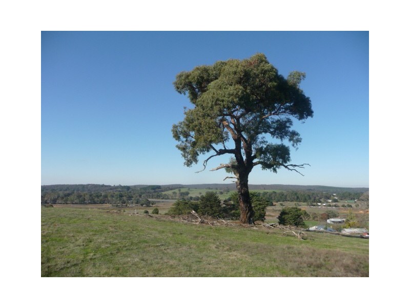 Lot 1/213 Beaufort-Lexton Road, Beaufort VIC 3373