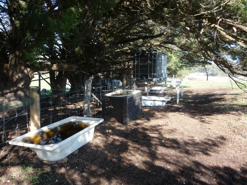 Lot 1/213 Beaufort-Lexton Road, Beaufort VIC 3373