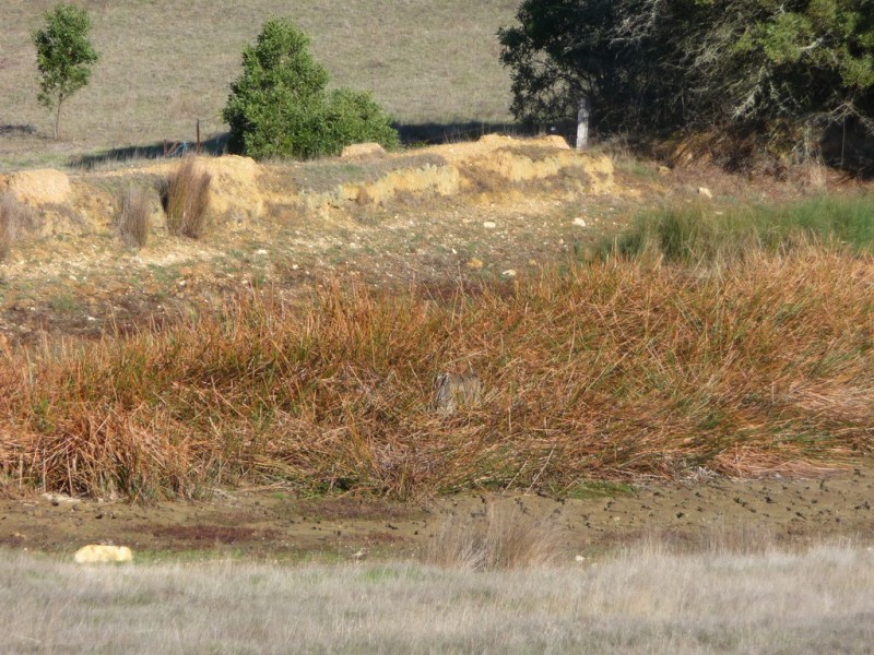 Lot 1/213 Beaufort-Lexton Road, Beaufort VIC 3373