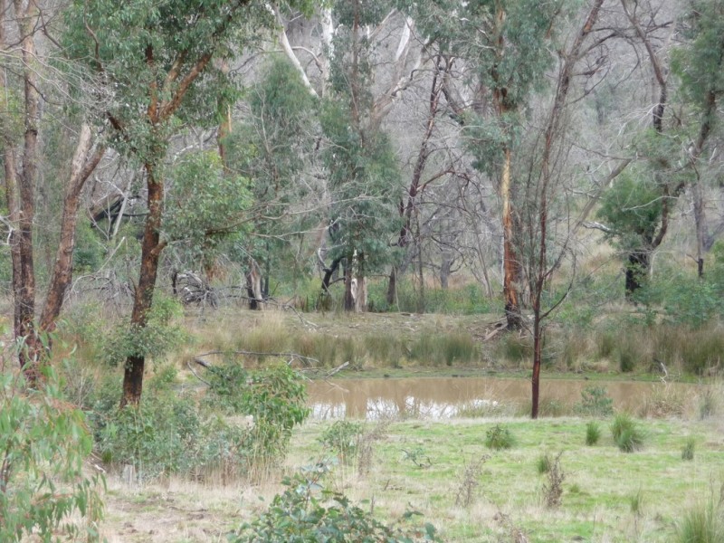 719 Paynes Bridge Road, Dereel VIC 3352