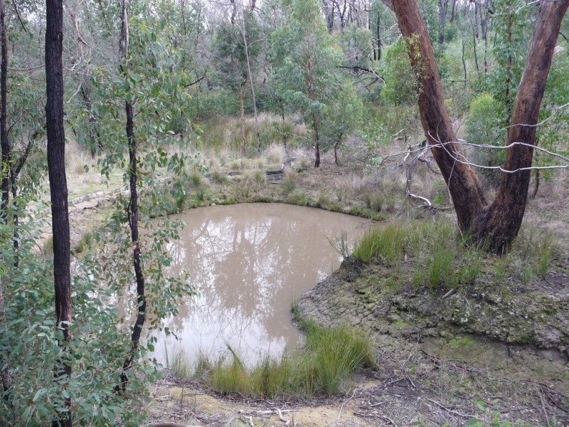 719 Paynes Bridge Road, Dereel VIC 3352